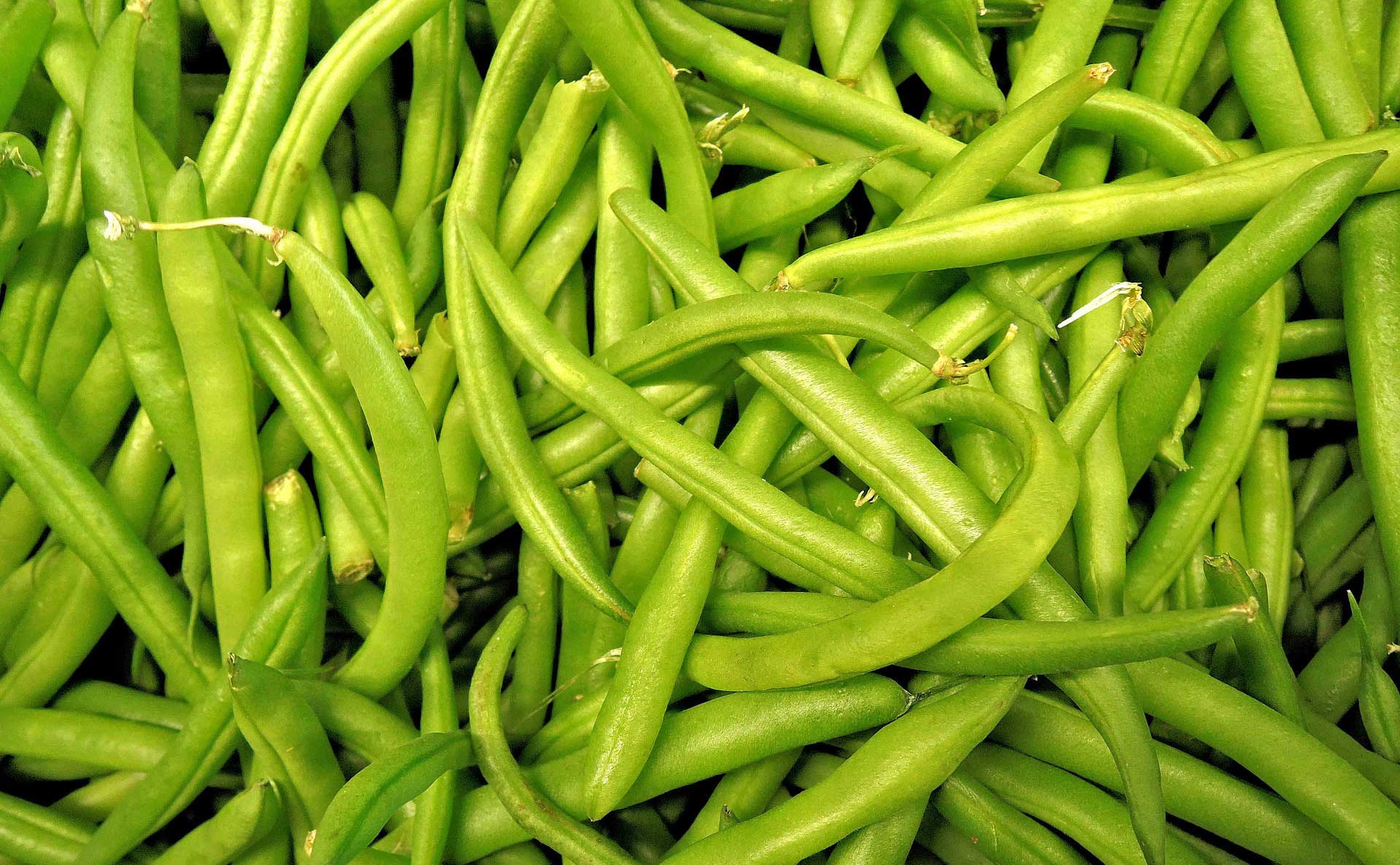 French Beans