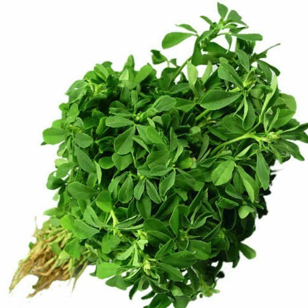 Methi